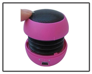 Picture of Modern Fashion