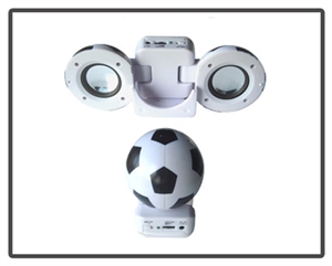 Picture of Novelty Shape