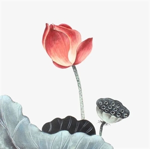 Picture of After reading it, you will never fight again