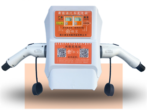 Image de BlueNext Commercial charging pile (double gun)