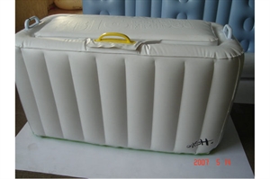 Picture of Others Inflatables for House