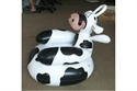 Picture of inflatable sofa and chair