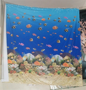 Image de PVC and EVA Rain Wear