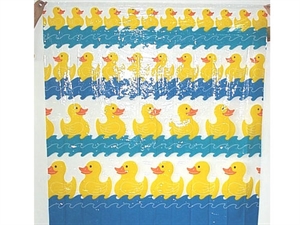 Image de PVC and EVA Rain Wear