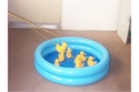 Picture of Inflatable Pool