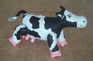Image de Inflatable Animal