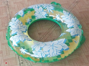 Picture of Swimm Ring