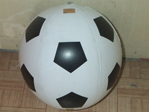 Picture of Beach Ball