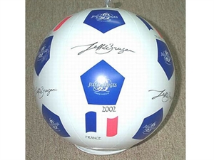 Picture of Beach Ball