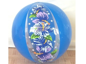 Picture of Beach Ball