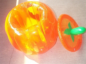 Image de Infatable Bottle