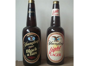 Picture of Infatable Bottle