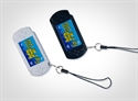 Picture of PSP 2000 key ring(black and white