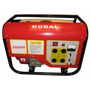 Gasoline Generator (NB3000-1) の画像
