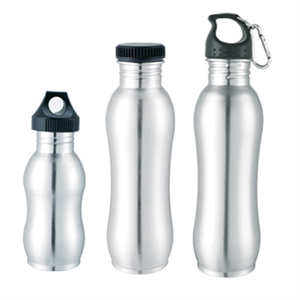 Picture of STAINLESS STEEL BOTTLE