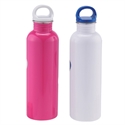 Picture of STAINLESS STEEL BOTTLE