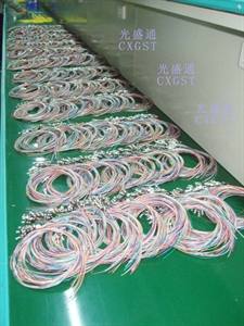 Image de 12 core pigtail