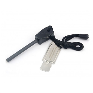 Image de FIRE STARTER