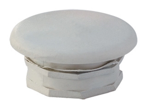 Picture of the plug1