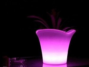 Picture of Three beef ice bucket