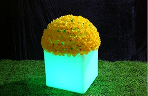 Square flowerpot の画像