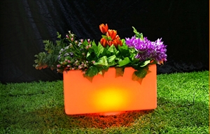 Picture of Rectangular flowerpot