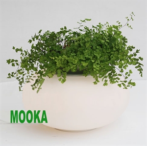 Image de Biosfera Table Lamp