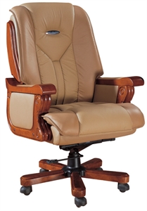 Picture of executive chair