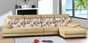 Picture of leather home sofa