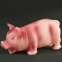Picture of shrilling pig