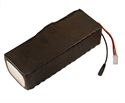 Image de 36V LiFePO4 Battery Pack