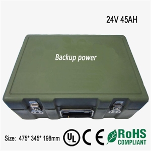 Picture of 24V LiFePO4 Battery Pack