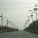 Image de Solar LED Street Lights