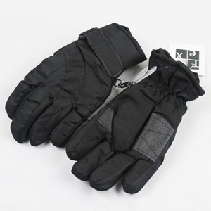 Image de Ski Glove