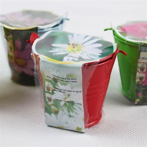 Image de 8PC Diy Planting