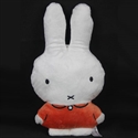 Picture of nijntje miffy