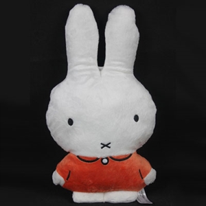 Image de nijntje miffy