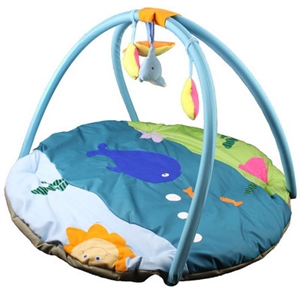 Picture of Gym playmate