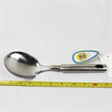 Picture of Spoon