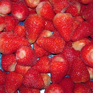 Picture of Frozen Strawberry