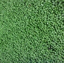 Picture of Frozen Green Peas