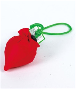 Изображение BAG