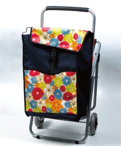 Picture of TRAVEL BAG