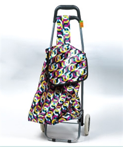 TRAVEL BAG の画像