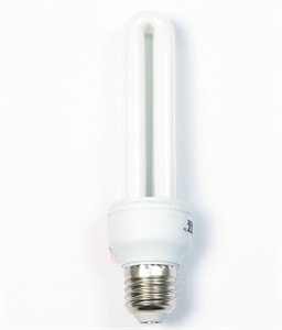 LIGHT BULB の画像