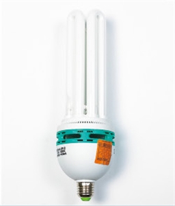 LIGHT BULB