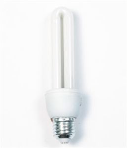 LIGHT BULB の画像