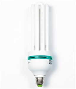 Image de LIGHT BULB