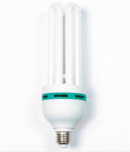Image de LIGHT BULB