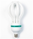 Image de LIGHT BULB
